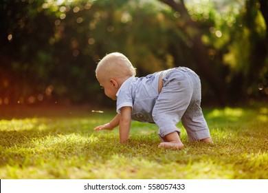 child crawl on green grass - Powered by Shutterstock