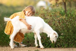 Child Cute Girl In Yellow Cotton Dress Playes And Hugs White Goat Eating Grass In Country, Summer Nature Outdoor.Friendship Of Kid And Farm Animal