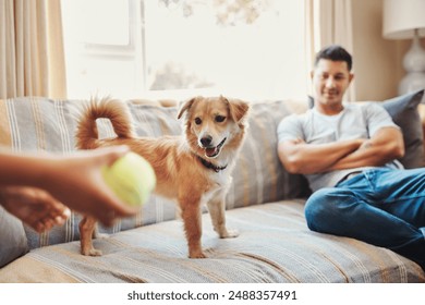 Child, dad and dog in home with ball, relax and playing together on sofa for happy morning bonding. Kid, man and playful puppy on couch with toys, game and family fun with pet care in living room - Powered by Shutterstock