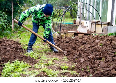 Child Digging With A Shovel In The Fall Garden. The Boy Helps His Parents, The Elderly In The Garden. Care For Plants In Autumn.