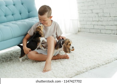 Child With Dog
