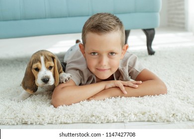 13,684 Dogs on white carpet Images, Stock Photos & Vectors | Shutterstock