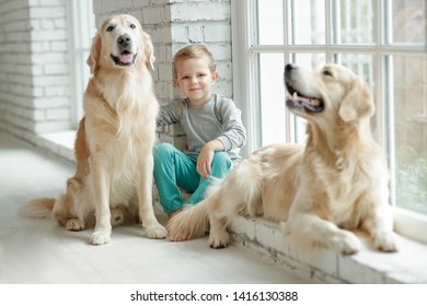 Child with a dog at home 
 - Shutterstock ID 1416130388