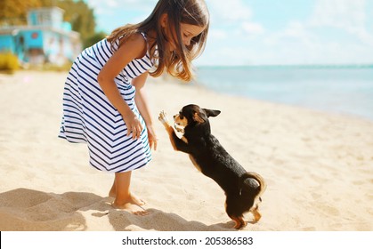 Child And Dog Playing On The Beach In Summer Day