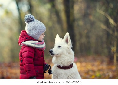 Child And Dog Together In Autumn Park