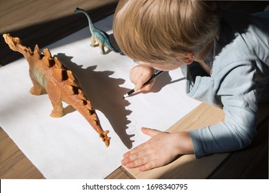 Child Draws With Pencil Contrasting Shadows From Toy Dinosaurs. Drawing Of Preschooler, Creative Ideas For Children's Creativity. Interesting Activities For Children During Period Of Self-isolation