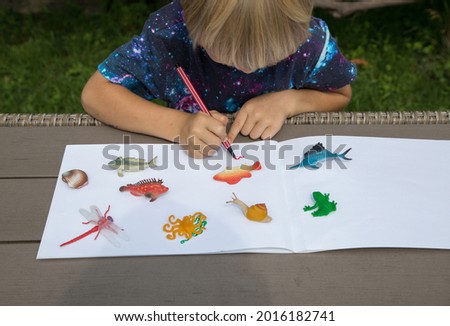 The child draws while looking at the little toy figures of animals of the water world. creative ideas for children's creativity. Developing activities for children