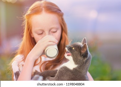 Child Drinks Milk From Glass In Nature - Keeps The Cat In His Arms. The Cat Meows And Wants To Drink Milk. Fresh Milk Can Be Drunk At Any Time.