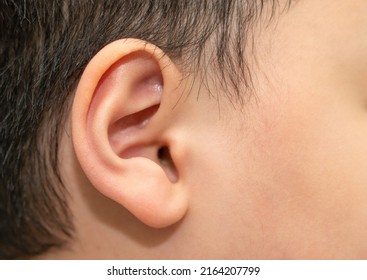 Child Ear For Hear Or Listen Concept