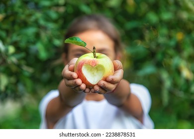 The child eats an apple in the garden. Selective focus. Kid.