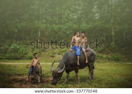 Child enjoy riding buffalo and playing with the buffalo
