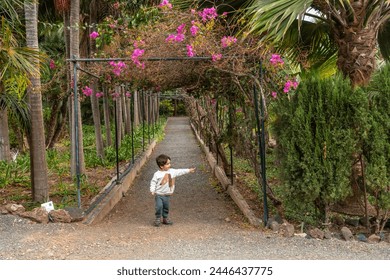 A child enjoying and walking in a botanical garden. Tropical plants concept - Powered by Shutterstock