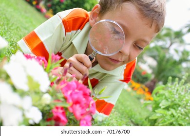 Child, Examining With A Magnifying Glass Flower