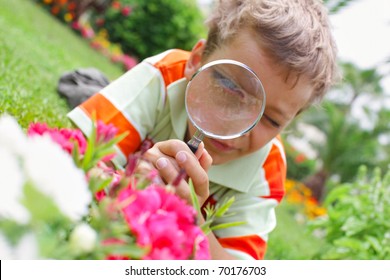 Child, Examining With A Magnifying Glass Flower