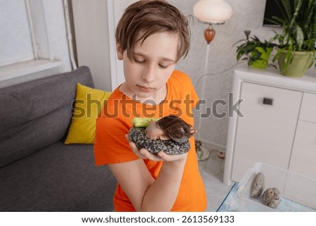 Child explores big snails indoors.