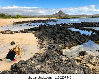 Child Exploring Tidal Pools in the Galapagos Islands - Powered by Shutterstock