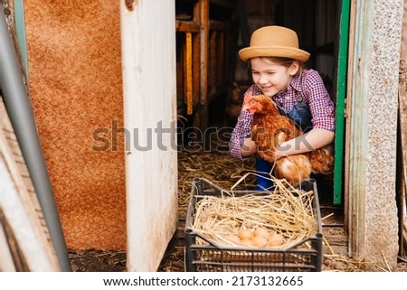 child farmer in a chicken coop. a little girl holds and strokes a red hen near a nest of eggs. laying hen. natural and eco-friendly products from the farm. family agricultural business.