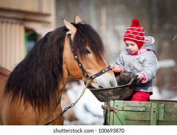 Child feeding a horse, sitting on a cart in the winter. - Powered by Shutterstock