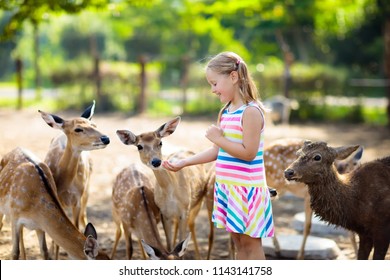 Child Feeding Wild Deer At Petting Zoo. Kids Feed Animals At Outdoor Safari Park. Little Girl Watching Reindeer On A Farm. Kid And Pet Animal. Family Summer Trip To Zoological Garden. Herd Of Deers.