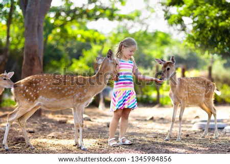 Child feeding wild deer at petting zoo. Kids feed animals at outdoor safari park. Little girl watching reindeer on a farm. Kid and pet animal.