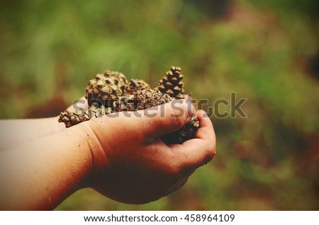 Child in the forest holds a handful of pine cones selective focus