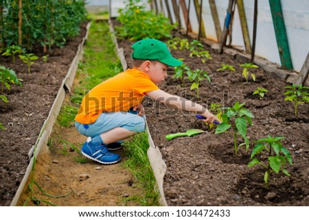 Child in the garden