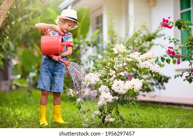 Child Gardening. Little Boy With Red Watering Can In Blooming Sunny Garden. Kids Help In Backyard. Summer Outdoor Fun. Kid Taking Care Of Plants And Flowers.