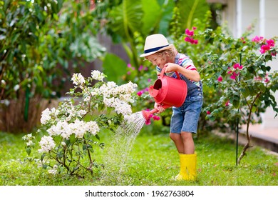 Child gardening. Little boy with red watering can in blooming sunny garden. Kids help in backyard. Summer outdoor fun. Kid taking care of plants and flowers.