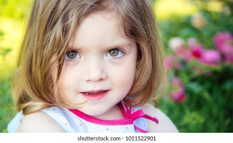 Child Girl Brown Eyes On Cute Stock Photo (Edit Now) 1225244656