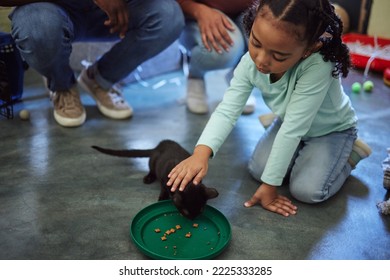 Child, girl or feeding kitten in pet shelter, adoption rescue or feline volunteer community clinic with health, wellness or development food. Kid, youth or animal care for cats in foster charity home - Powered by Shutterstock