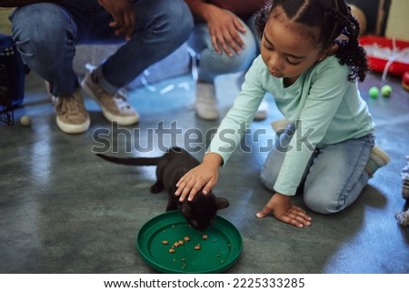Child, girl or feeding kitten in pet shelter, adoption rescue or feline volunteer community clinic with health, wellness or development food. Kid, youth or animal care for cats in foster charity home