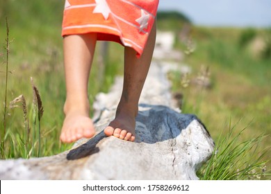 Child Girl Feet Walking Barefoot, Walking On Tree Trunk. Healthy Happy Lifestyle, Carefree Childhood. Freedom Concept. Shoeless Child's Legs. Front View