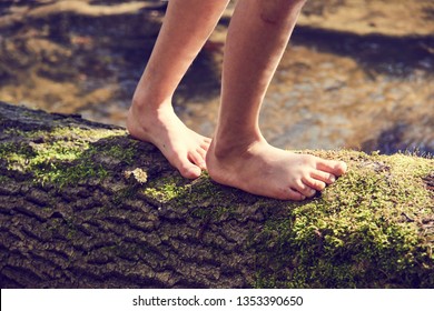 Child girl feet walking on tree trunk. Selective focus - Powered by Shutterstock