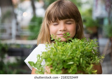 Child Girl Holding Pot With Mixed Green Fresh Aromatic Herbs In Garden Near The House. Enjoy The Little Things. Favorite Family Hobby. Eco-friendly. 