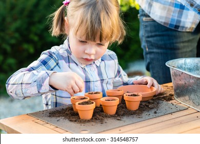 Child Girl Planting Flower Seeds With Mother. Gardening, Planting Concept - Mother And Daughter Planting Flower Seeds  Into Small Pots