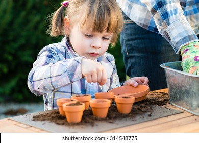 Child Girl Planting Flower Seeds With Mother. Gardening, Planting Concept - Mother And Daughter Planting Flower Seeds  Into Small Pots. Bulbs Flowering