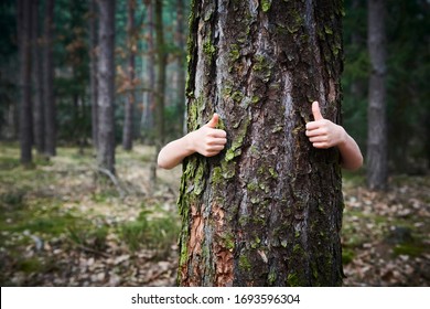 Child girl stand behind and give hug to tree in forest. Concept of global problem of carbon dioxide and global warming. Love of nature. Thumbs up