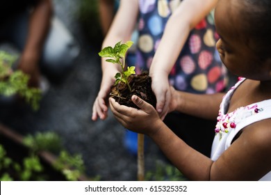 Child Is Going To Plant A Tree