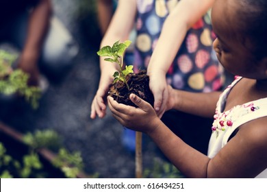 Child is going to plant a tree
