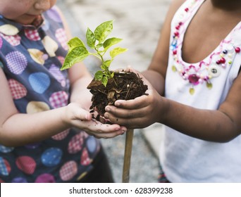 Child is going to plant a tree