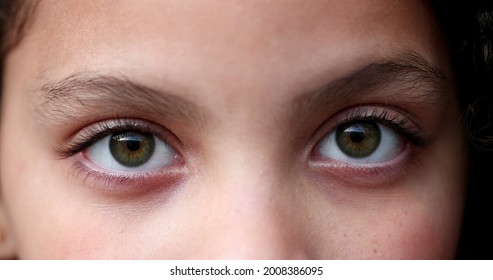 Child Green Eyes Macro Close-up. Girl Face Looking At Camera