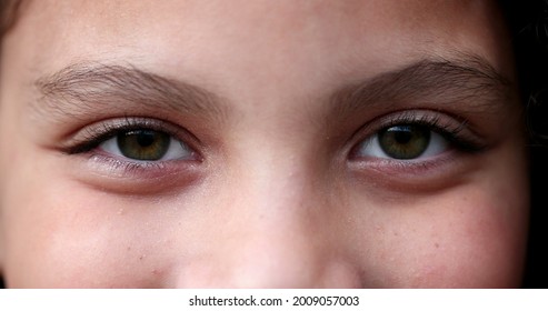 Child Green Eyes Macro Close-up. Girl Face Looking At Camera