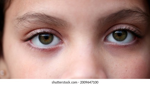 Child Green Eyes Macro Close-up. Girl Face Looking At Camera