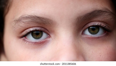 Child Green Eyes Macro Close-up. Girl Face Looking At Camera