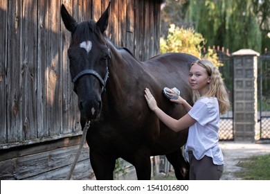 Child Grooming Horse With Brush, Girl Cleaning And Taking Care Of Horse