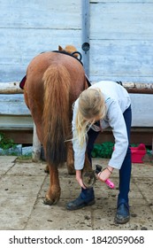 Child Grooming Horse With Brush, Girl Cleaning And Taking Care Of Horse. Cleaning Horse Hooves
