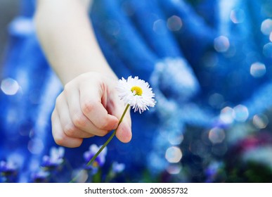 Child Hand Holding A Flower, Toned Photo.