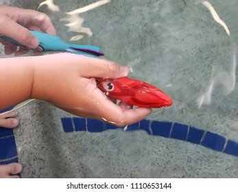 child hand with pool toys hovering over a pool - Powered by Shutterstock