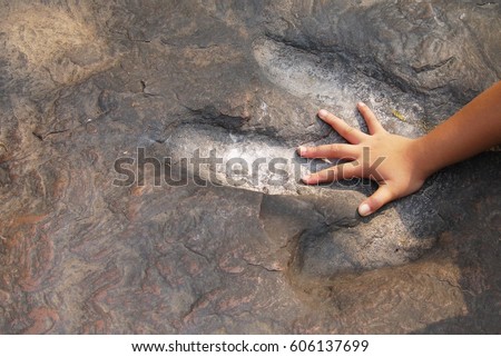Child hands compared  with dinosaur footprints in the forest park , discovery image, Kids learn outside the classroom to enhance the experience , selective focus.
