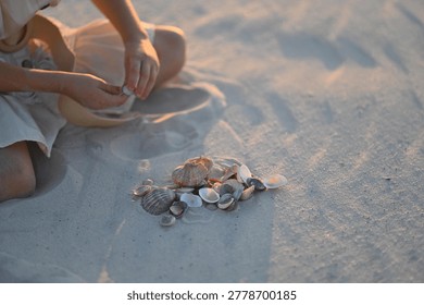 Child hands child hands sort through small sea shell sea shell on sand. Little kid plays with ocean shell shell treasures at beach during sunset. Happy childhood summer vacation moments.
